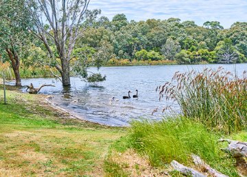 Top 10 local conservation reserves